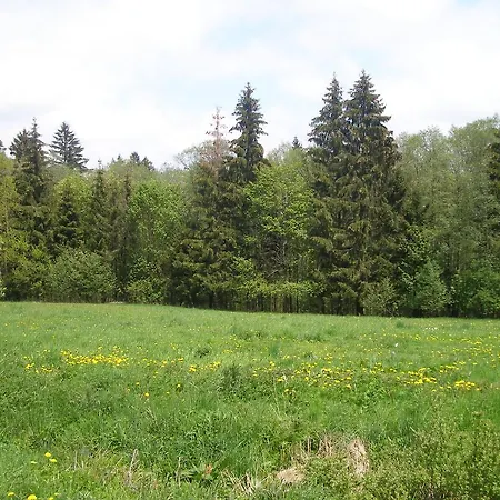 Appartement Dvorecna
