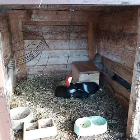 德沃勒科纳公寓 公寓 Loučovice