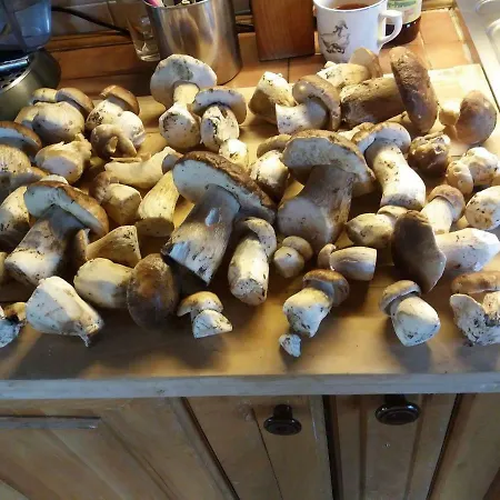 公寓 德沃勒科纳公寓