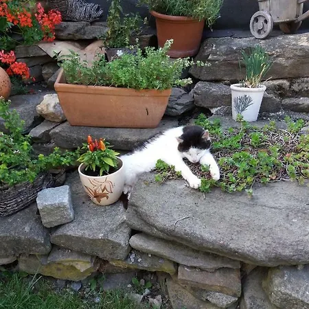 德沃勒科纳公寓 Loučovice