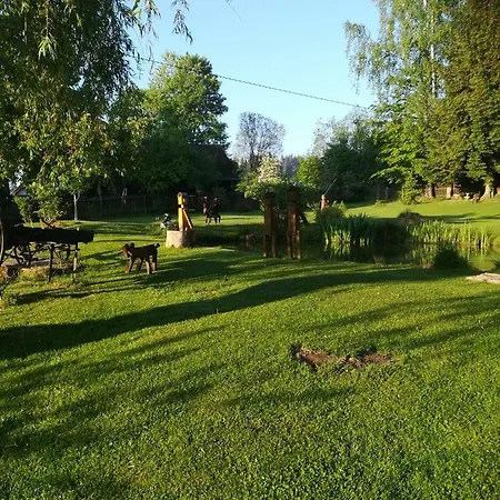 Apartment Dvorecna *